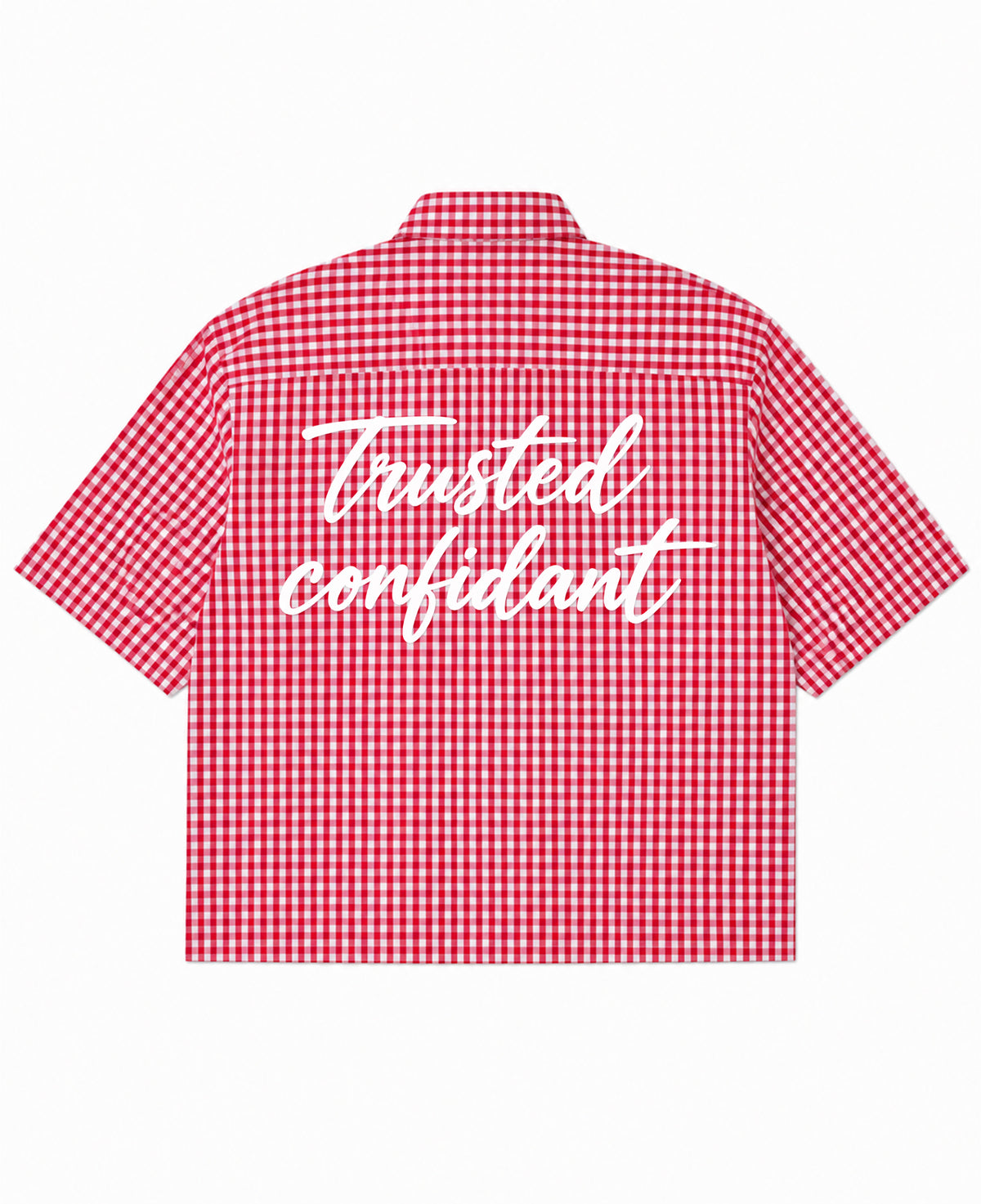 Red Picnic Oxford Boxy Shirt Back Design